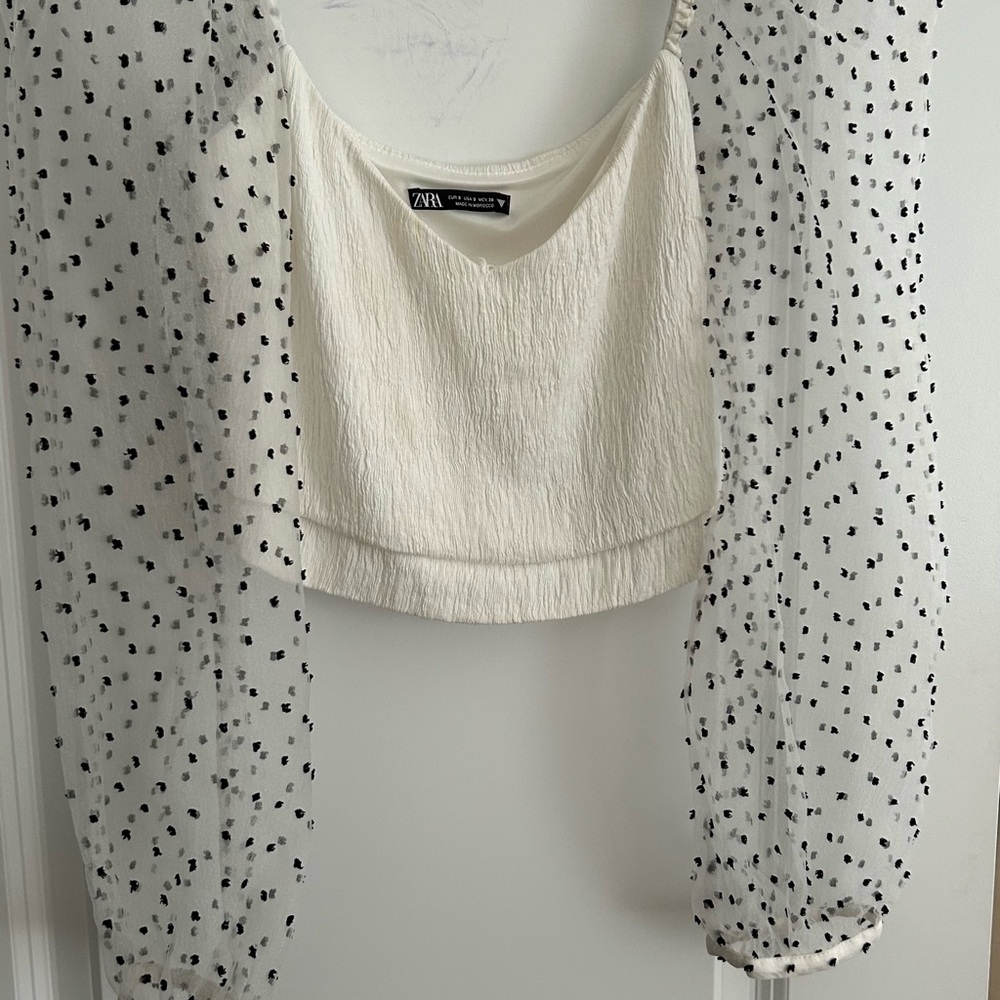 Zara Cream and Black Sheer Polka Dot Blouse